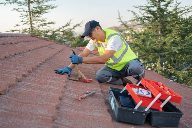 Best Gutter Installation and Roofing  in Violet, LA