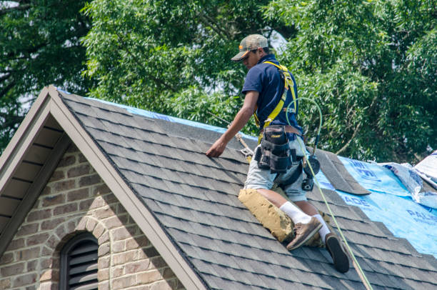 Gutter Installation and Roofing in Violet, LA